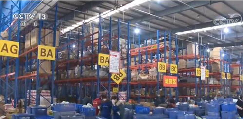 一季度電子商務(wù)發(fā)展勢頭迅猛，農(nóng)村電商與技術(shù)服務(wù)雙翼齊飛