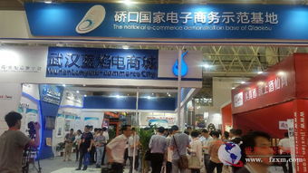 華中電商第一展 500余家企業(yè)齊聚，技術(shù)服務(wù)引領(lǐng)行業(yè)新浪潮