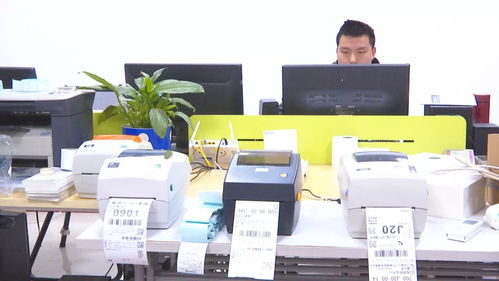 萬山以特色創新為引擎，推進電子商務技術服務有序發展