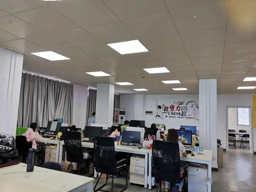 市市場監管局江城分局強化電子商務技術服務監管，護航線上經營秩序