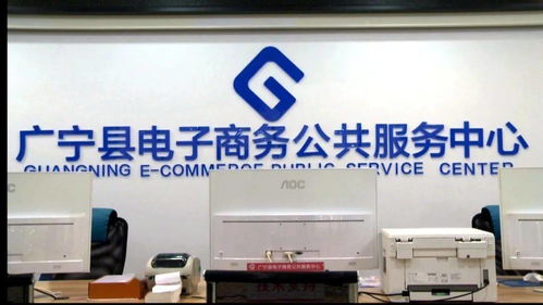 完善服務體系，技術賦能電商 我縣電子商務發展的新篇章